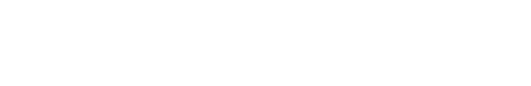 日中未来政経交流委員会